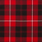 Reiver Light Weight Tartan Fabric - Cunningham Modern